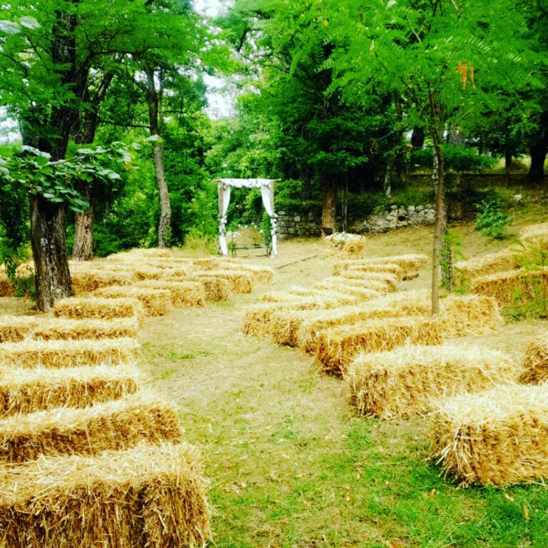 IMG_20210809_221425_694